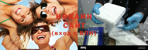 эйфоретик Белокуриха
