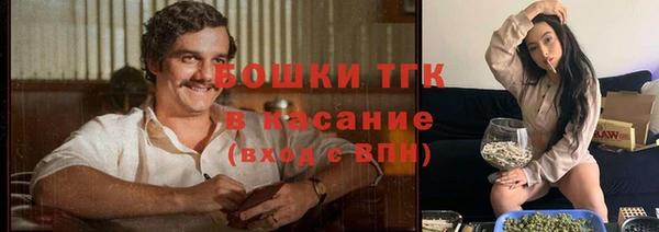 стафф Беломорск
