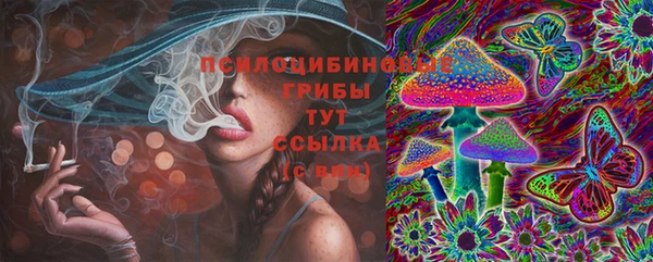 эйфоретик Белокуриха