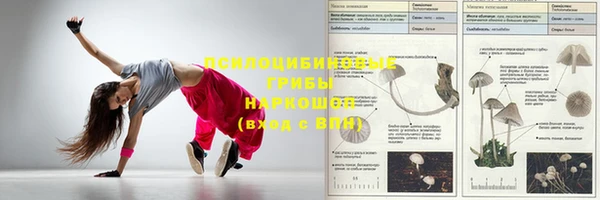 тгк Белоозёрский