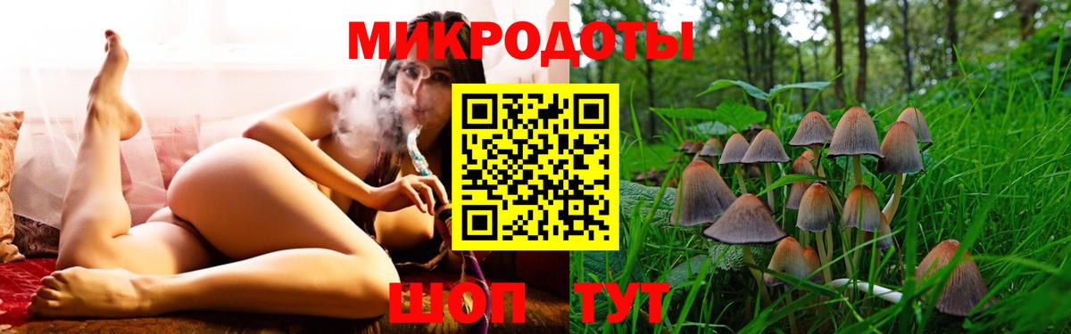 Дагестанские Огни  Псилоцибиновые грибы Magic Shrooms  Вход с VPN 